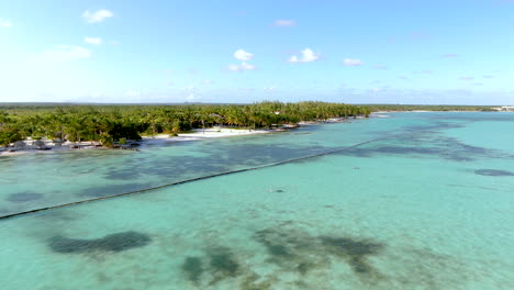 Aerial-high-angle-pass-along-the-palm-tree-groves-and-white-sandy-beaches-of-the-Dominican-Republic