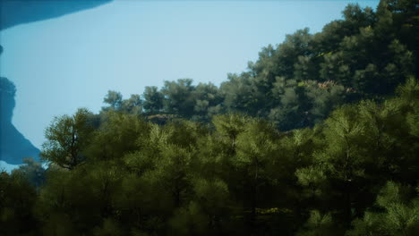 scenic countryside landscape with green summer mountain valley and forests