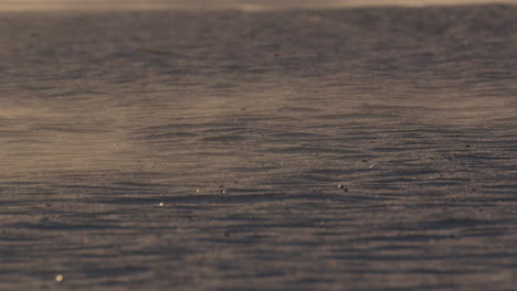 windswept sand