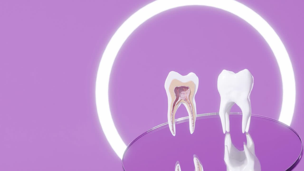 sección transversal del diente molar estudio de dentista implantes modelo de diagnóstico girar por encima del espejo del dentista animación de renderización 3d prevención