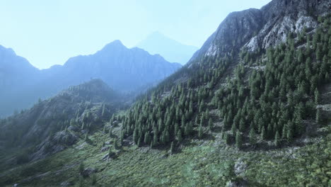 Swiss-Alps-with-Green-alpine-meadow-on-a-hillside-and-surrounded-by-forests