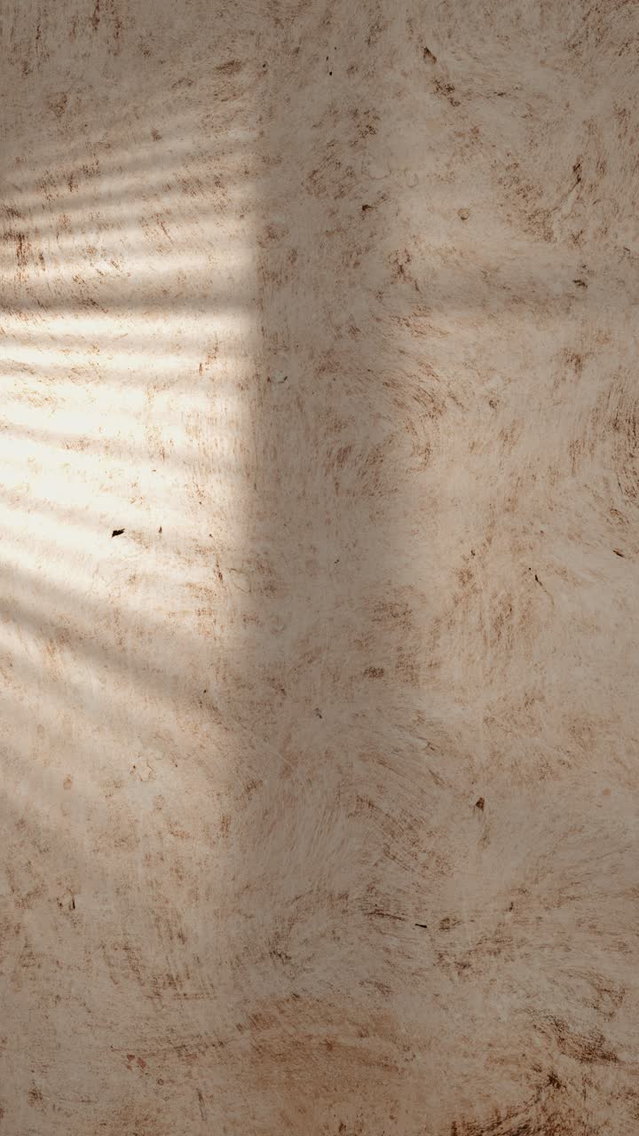 Ombre di foglie di palma ondeggianti su una parete beige texturizzata