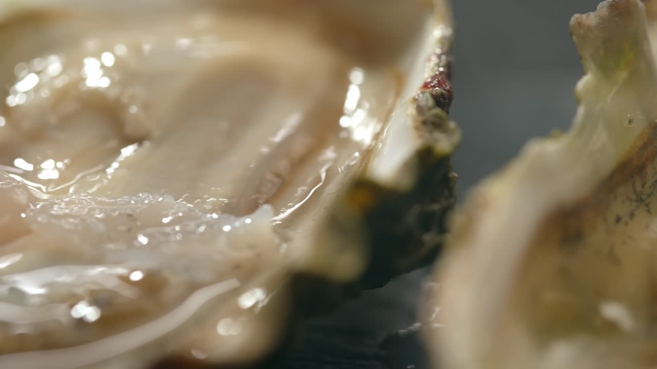 Close-up of Oysters