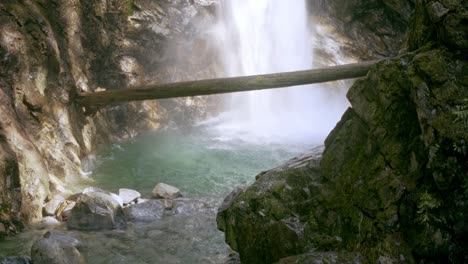 bottom of a waterfall with fallen tree across