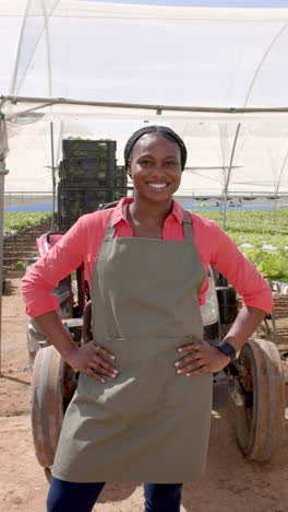 vertical video: smiling woman in apron standing in hydroponic farm, hands on hips