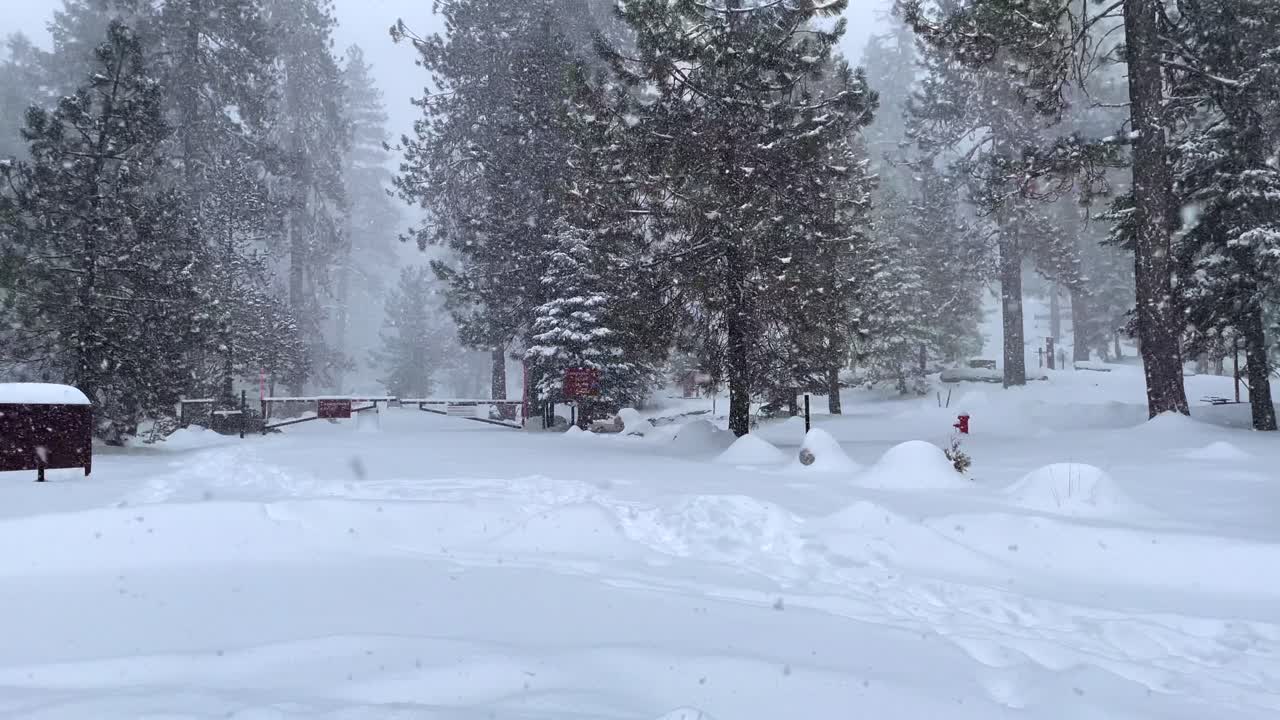 세쿼이아 국립공원의 눈보라 4k 영상