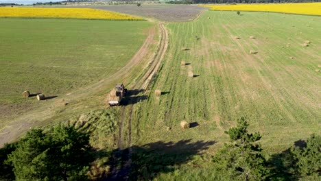 tractor with trailer picking up round hay bales on farm land, drone reveal