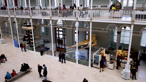 people exploring exhibits and interacting in museum