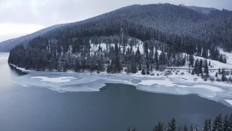 winter forest mountain with frozen lake - aerial drone shot