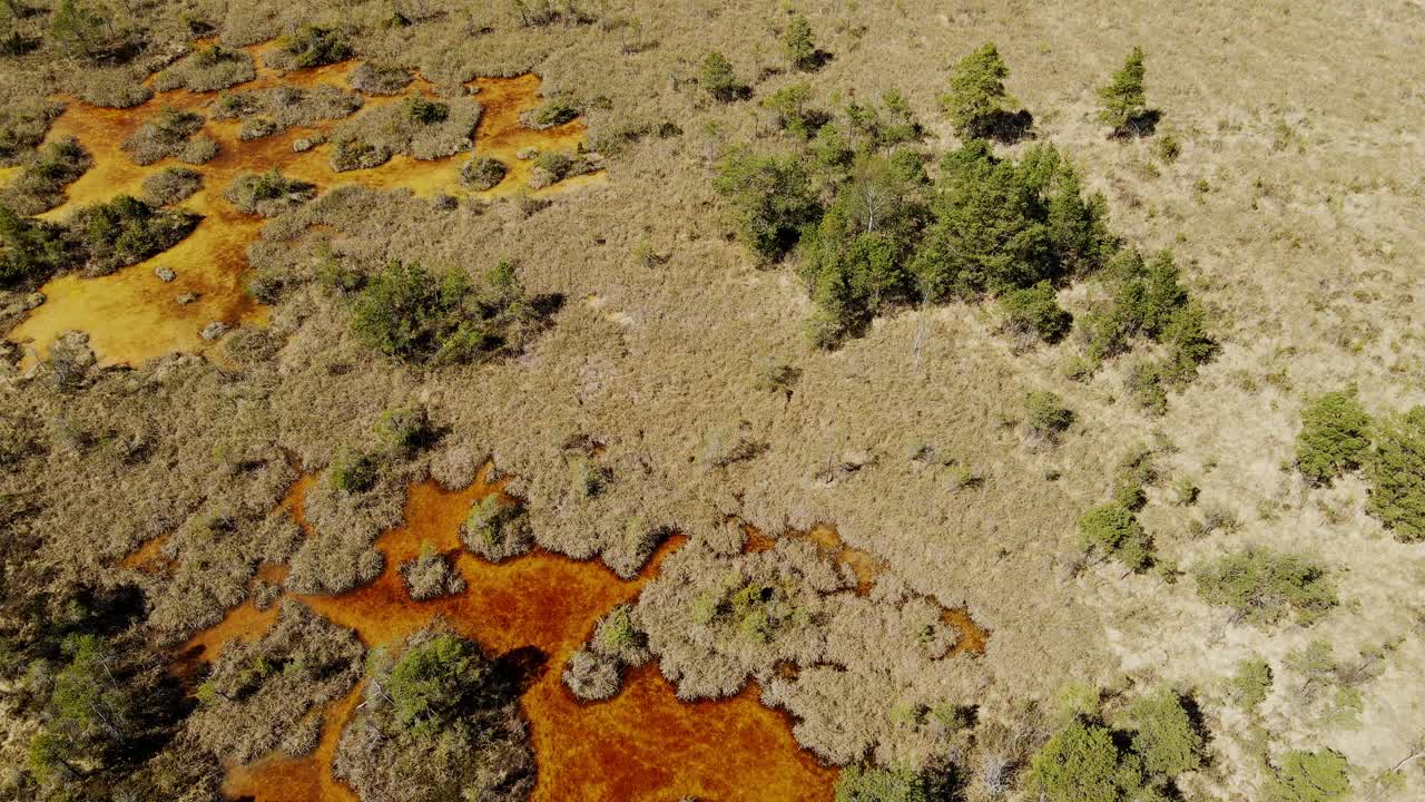 Spring drone gliding over sulfur-colored bog pools, Ķemeri National Park Latvia