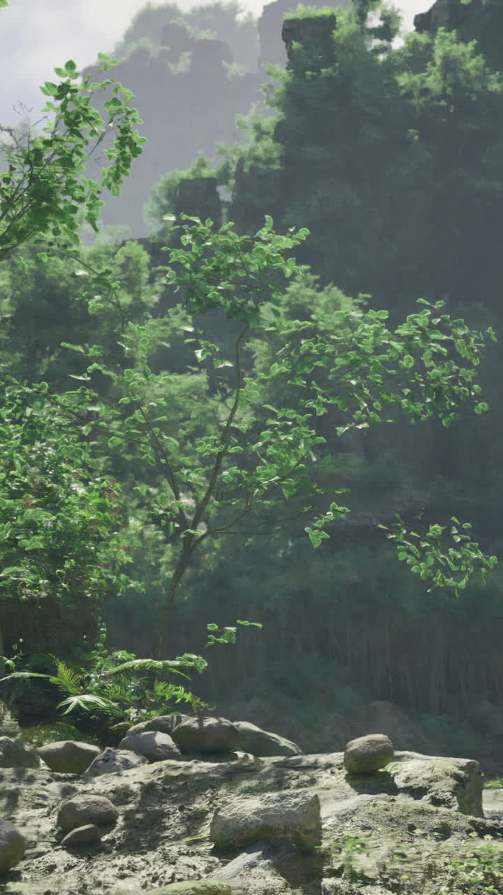 Daylit lush landscape with rocks and vibrant vegetation