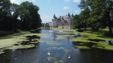 Amazing view of two swans in a river, fountains and Loira Castle Sully-sur-Loire