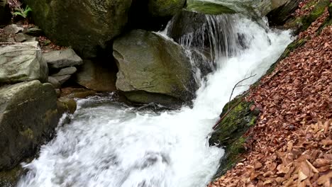 small stream in the mountain of north macedonia