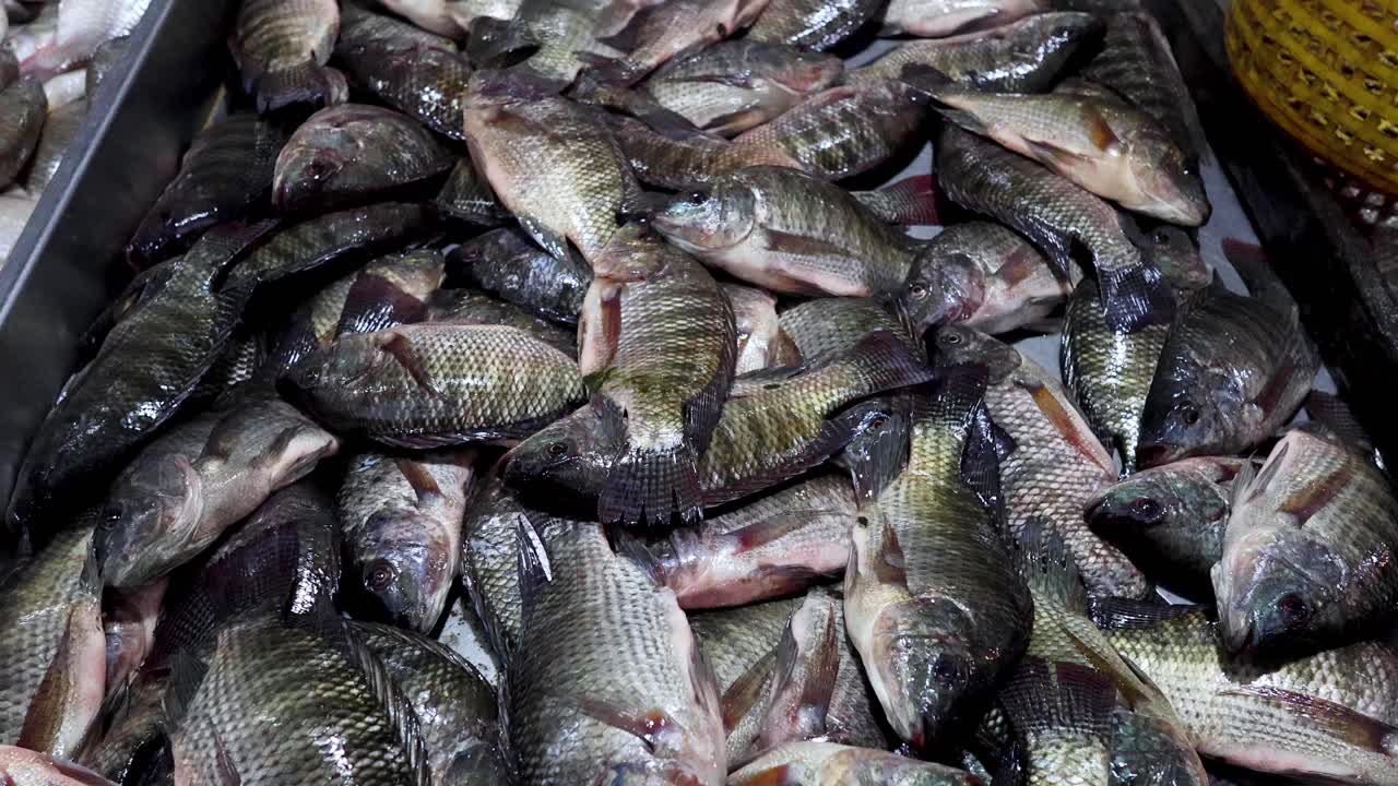 pescado organizado en una mesa de mercado