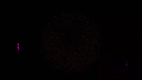 fireworks launched in the night sky.