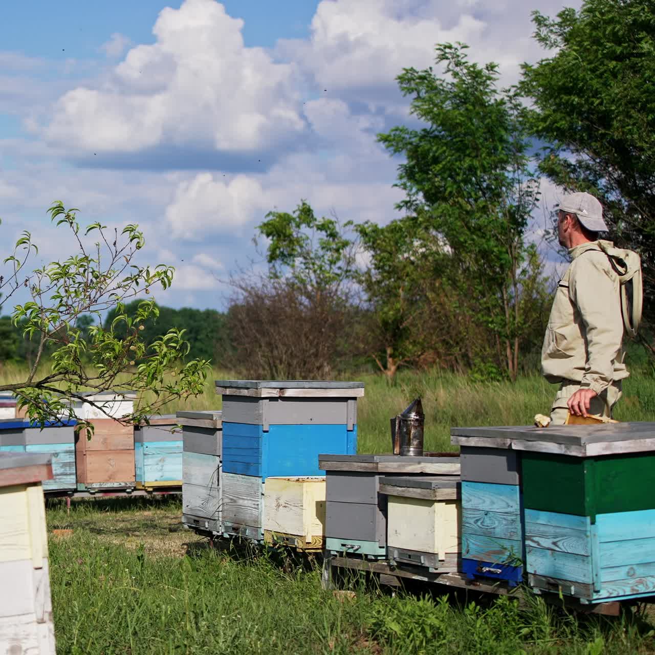 Adult male beekeeper working at his rural organic bee farm. Man using apiculture instruments in his work. Nature background