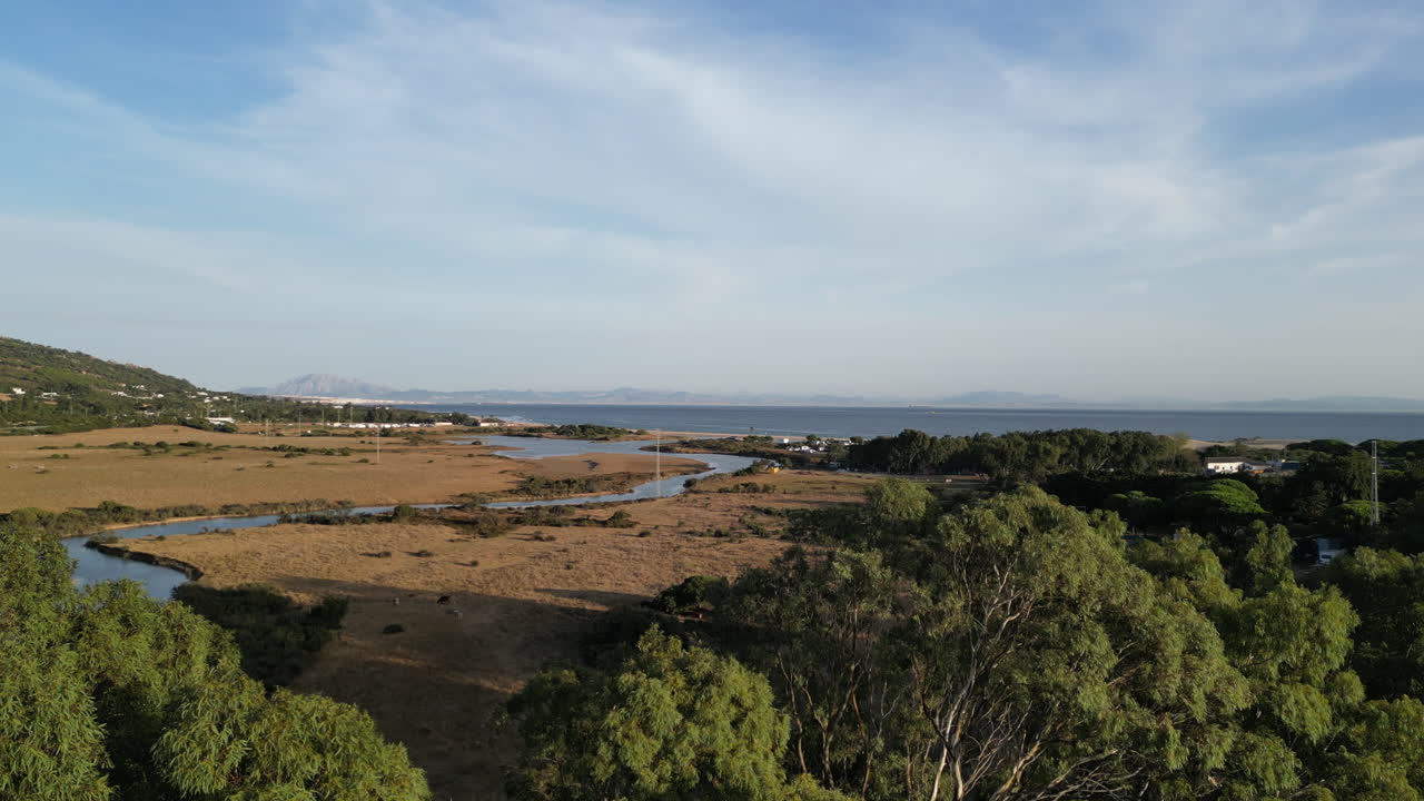 elevándose desde baja altura con árboles viejos en primer plano, revelando la playa, el mar y las montañas en el fondo al atardecer