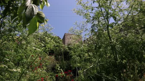 Looking-Up-On-Kaliakra-Fortress-Behind-The-Trees-In-Cape-Kaliakra,-Bulgaria