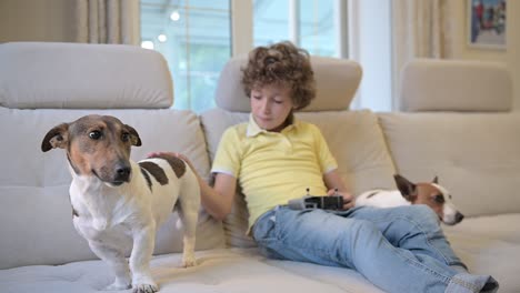 blond boy with curly hair playing with remote control, next to him are their dogs lying