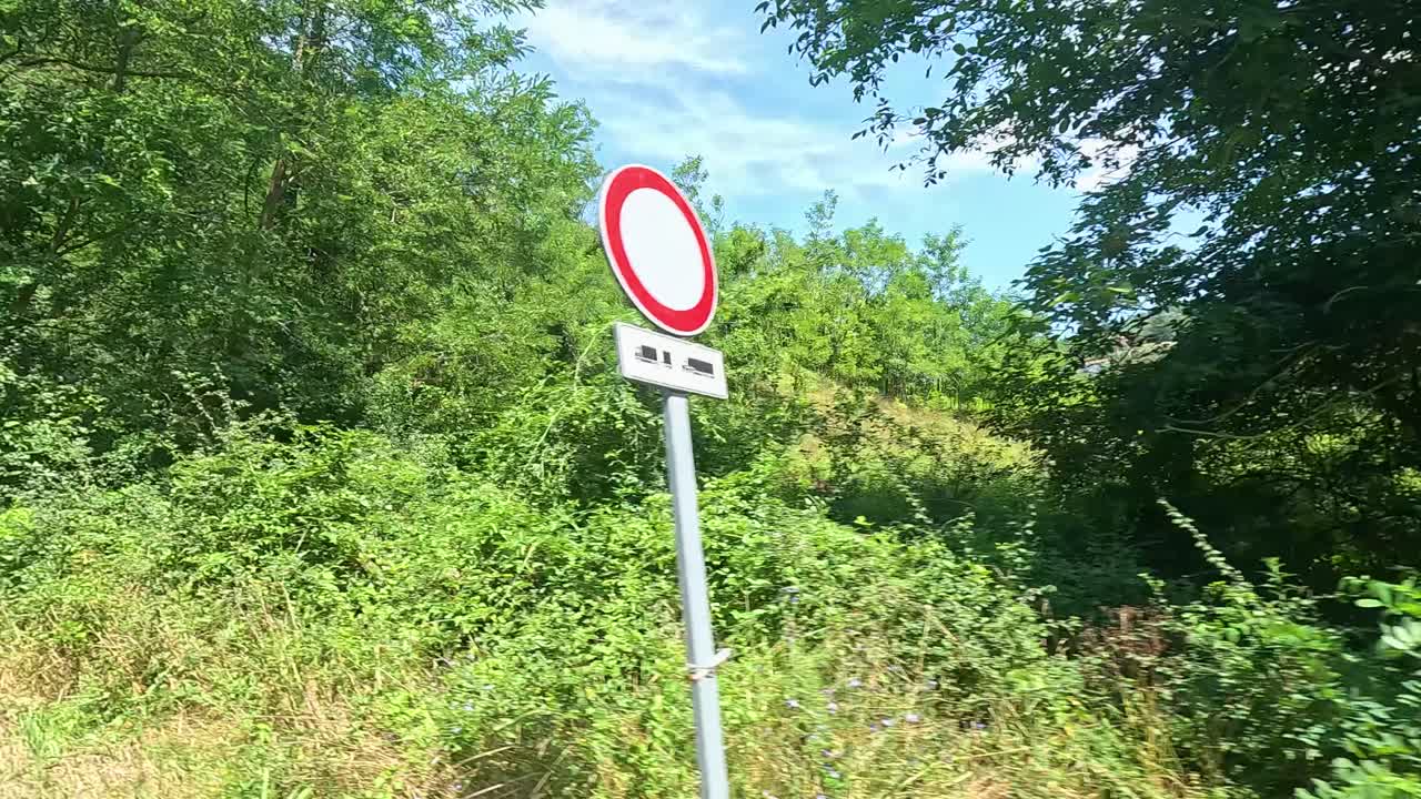 un paseo panorámico por el denso y verde bosque de piamonte