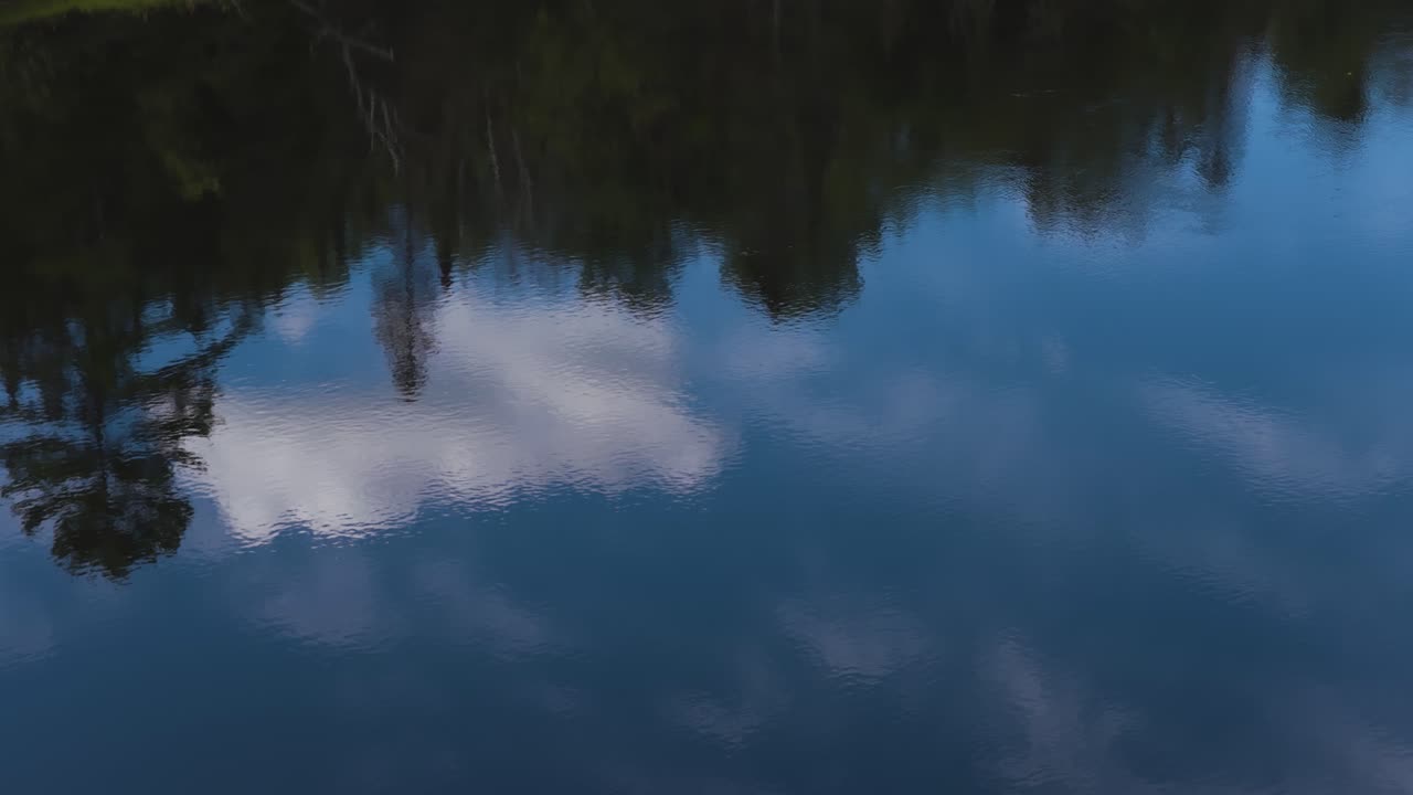 Aerial view of a quiet stretch of the Gatineau River, where the pine forest along the banks is reflected in the water's surface