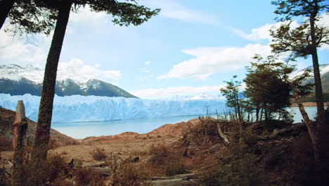 Panoramic-View-of-Perito-Moreno-Los-Glaciers-National-Park-from-Colorful-Autumn-Woods,-Patagonia,-Argentina