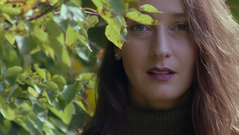 portrait of a young beautiful woman looking into the camera lens