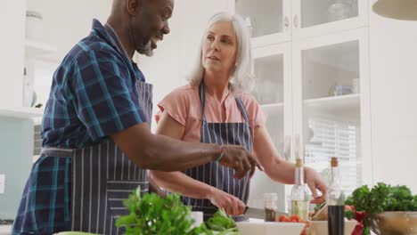 Glückliches-älteres,-Vielfältiges-Paar,-Das-Schürzen-Trägt-Und-In-Der-Küche-Kocht