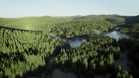 Acercándose-Desde-El-Aire-A-Un-Lago-De-Montaña-Rodeado-Por-Un-Bosque-De-Coníferas