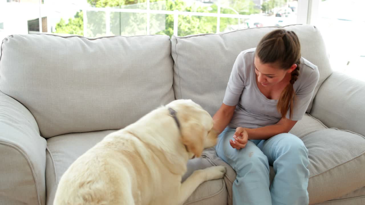 소파에서 라브라도르 개와 놀고 있는 웃는 여자