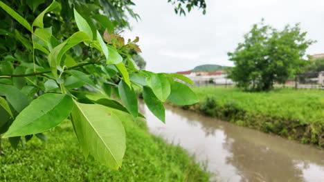 Fluss-Fließt-Im-Frühlingsregen-In-Ungarn