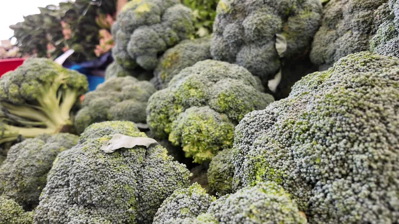 Fresh Broccoli