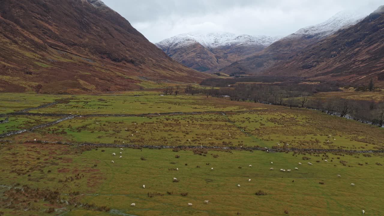 Scenografica valle delle Highlands scozzesi con pecore al pascolo e montagne innevate