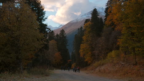 autumn hiking trail in mountain forest