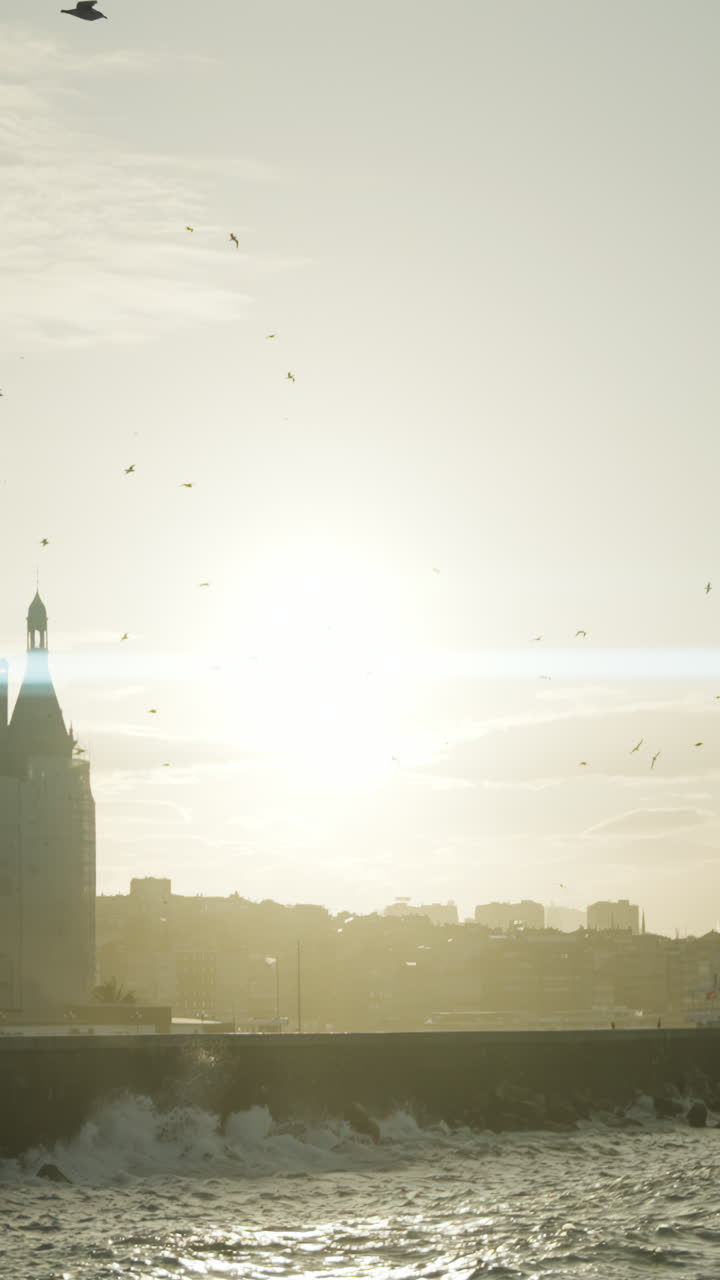 Paisagem Urbana Costeira ao Nascer/Pôr do Sol com Gaivotas