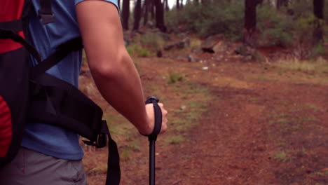 man hiking through a forest