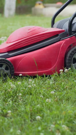 little boy mowing the lawn on a bright summer day, close-up. vertical video