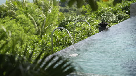 luxury tropical swimming pool oasis