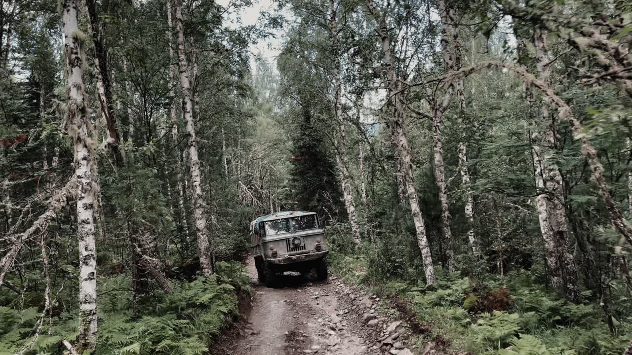 Robusto camion fuoristrada percorre una strada sterrata fangosa attraverso una fitta foresta di betulle e pini sui Monti Altai, Russia, viaggio avventura e paesaggio naturale remoto.