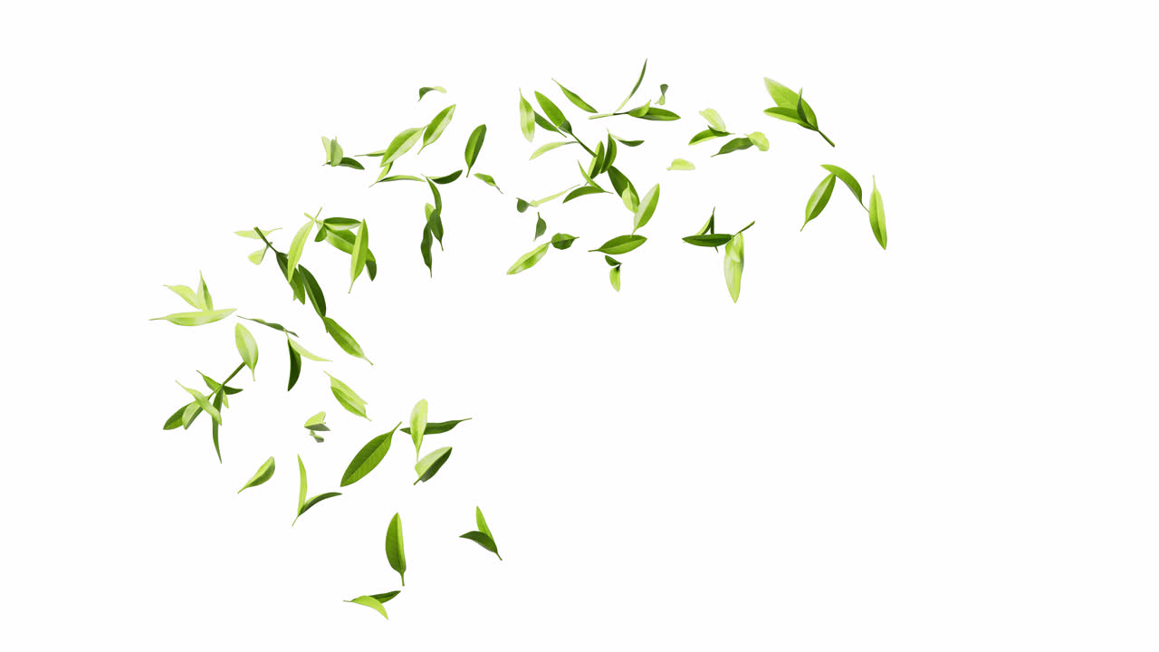 알파 채널을 가진 천연 녹색 차 잎, 3d 렌더링