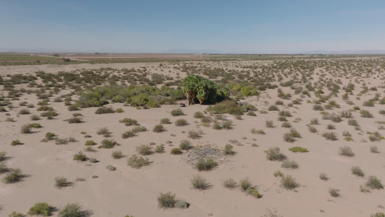 disparo de drones acercándose a un exuberante oasis en el desierto, árboles verdes en medio de áridos matorrales