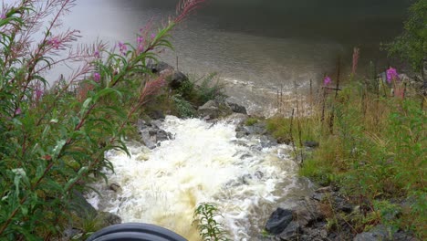 Dirty-brown-water-rushes-out-of-culvert-downhill-into-fjord-during-Norway-flooding