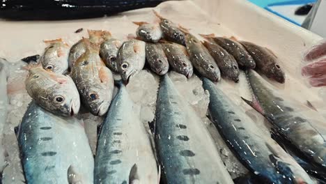 Fresh-seafood-on-display-for-sale-in-a-fish-market