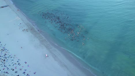 Eine-Luftaufnahme-Einer-Großen-Gruppe-Von-Menschen,-Die-Im-Meer-Schwimmen