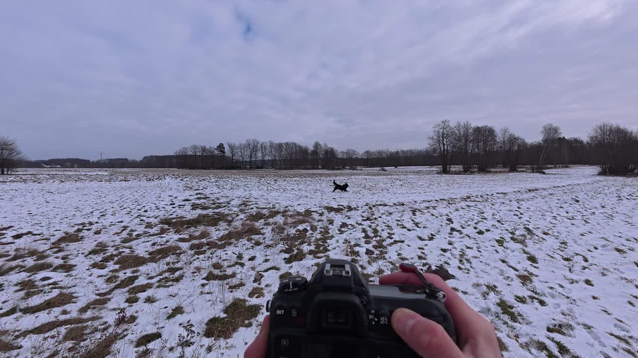 A POV-style shot of a person photographing a Border Collie in a snowy setting. The DSLR camera captures playful moments in winter.