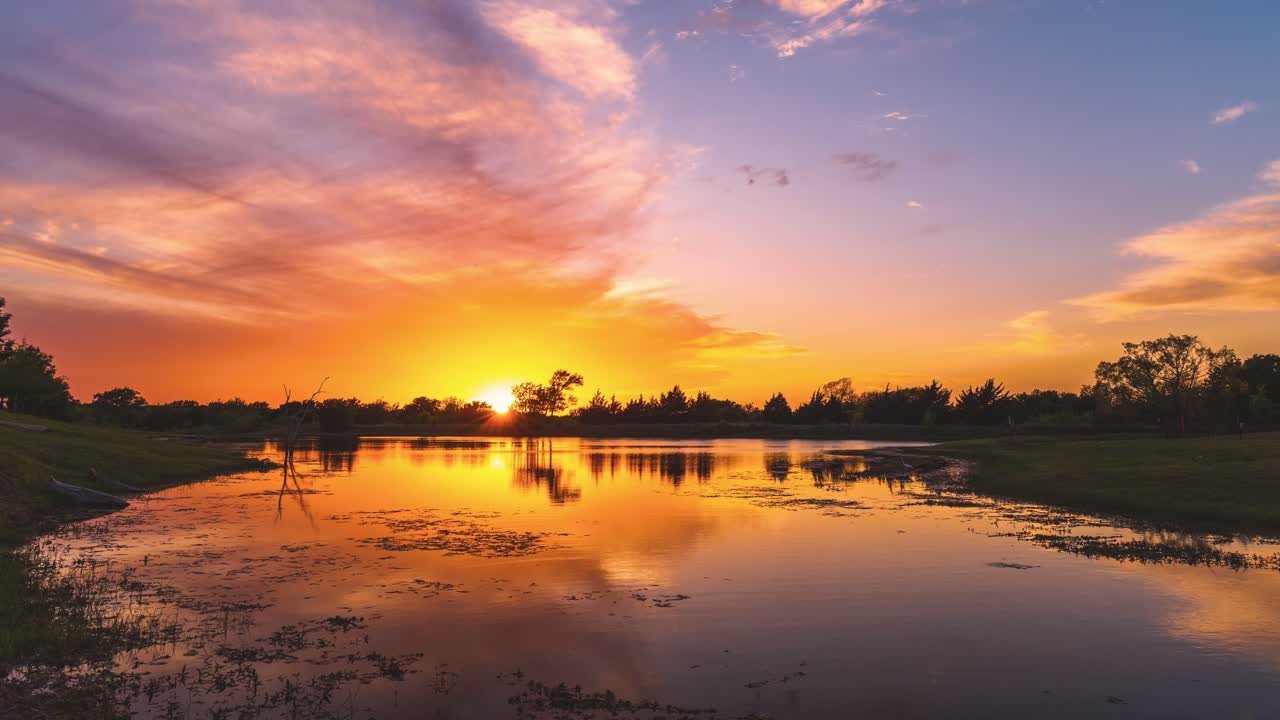 황금 시간 태양 꽃과 꽃 빨간 오렌지 빛 새벽 하늘을 가로질러, 구름은 평온한 강변 숲 장면 위에서 빨간색으로 빛납니다, 시간 흐름