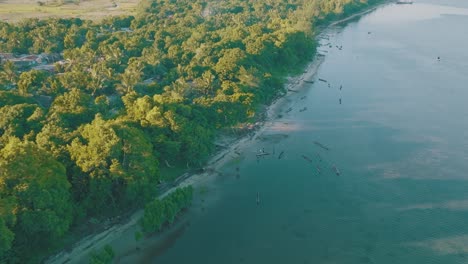 beautiful seaside with forest and blue ocean