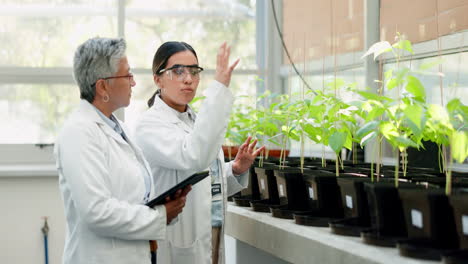 Scientist,-plant-and-teamwork-of-women-for-botany