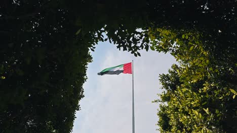 the uae flag waves among greenery at abu dhabi corniche, symbolizing a sustainable future in the united arab emirates