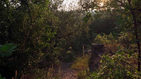 Camera-tilting-up-from-the-ground-to-reveal-a-narrow-pathway-in-the-moutains-in-the-Cote-d'Azur-region-in-France